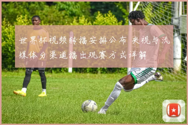 世界杯视频转播安排公布 央视与流媒体分渠道播出观赛方式详解