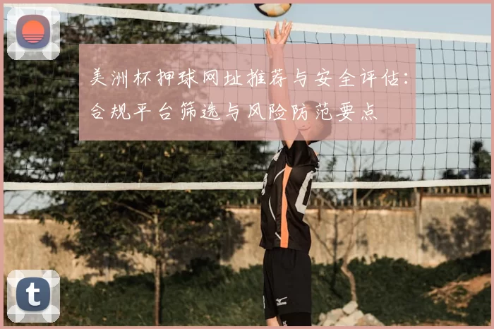 美洲杯押球网址推荐与安全评估:合规平台筛选与风险防范要点