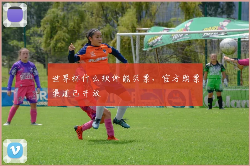 世界杯什么软件能买票,官方购票渠道已开放